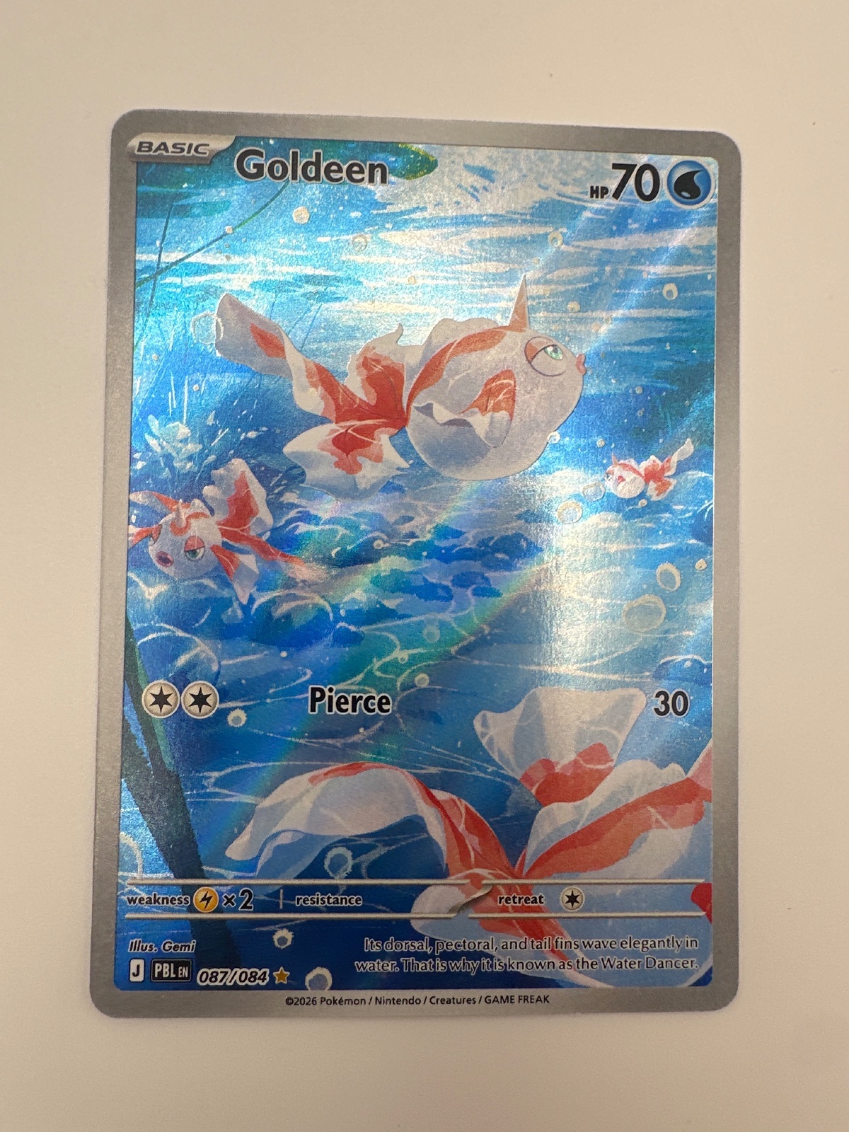 Goldeen 87/84 Pitch Black