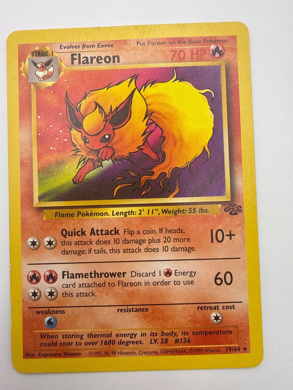 Flareon 19 Jungle