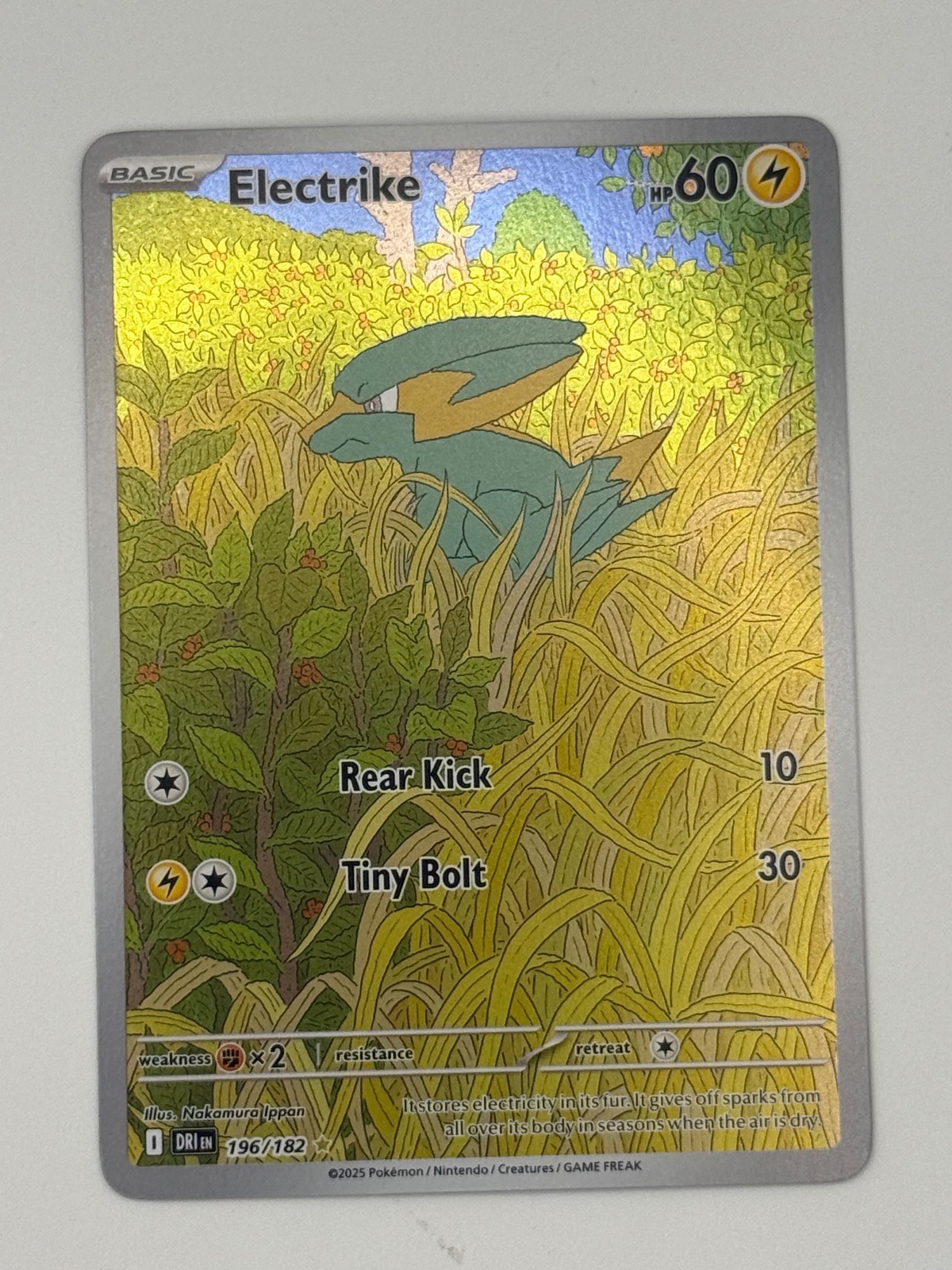 Electrike 196 Destined Rivals